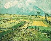 Vincent Van Gogh Wheatfield at Auvers under Clouded Sky oil painting reproduction